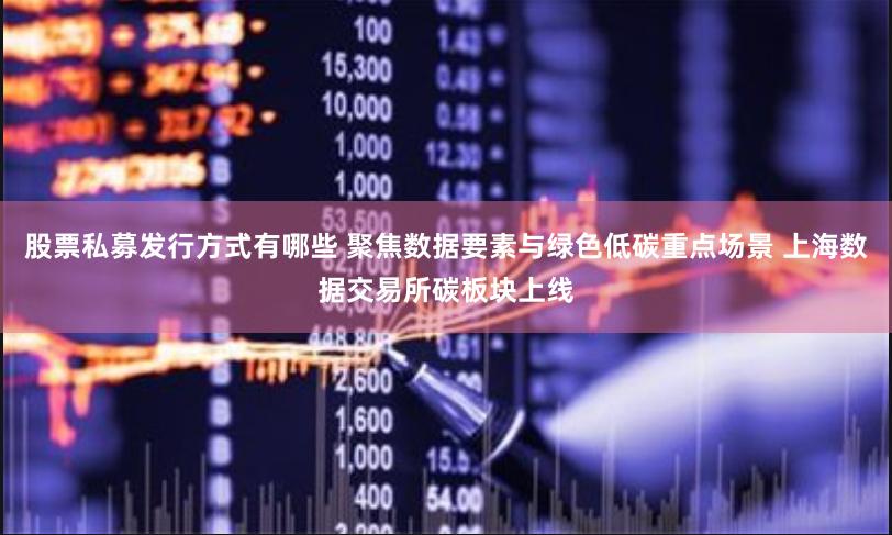 股票私募发行方式有哪些 聚焦数据要素与绿色低碳重点场景 上海数据交易所碳板块上线